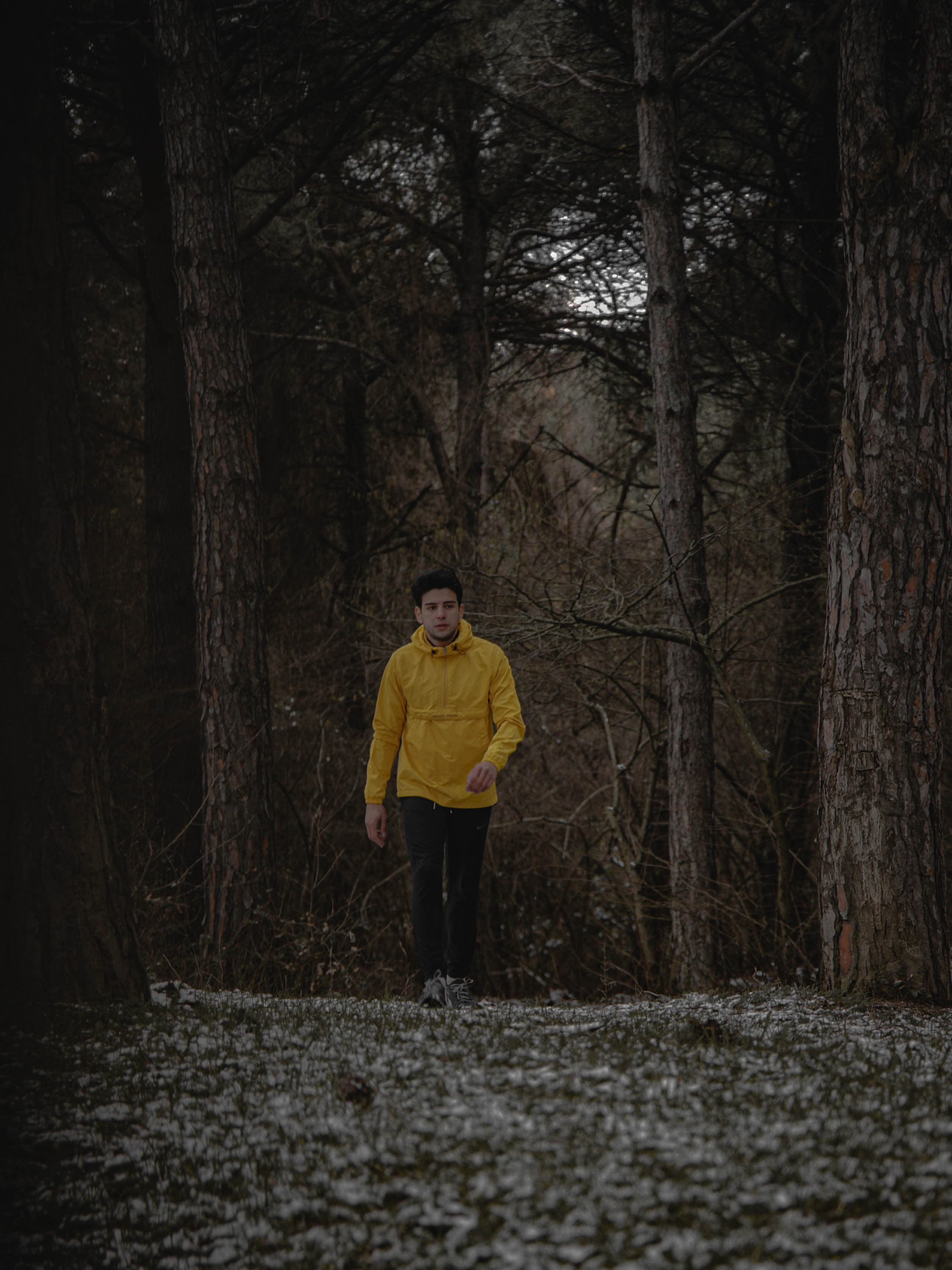 Nahed Nakib - Forest