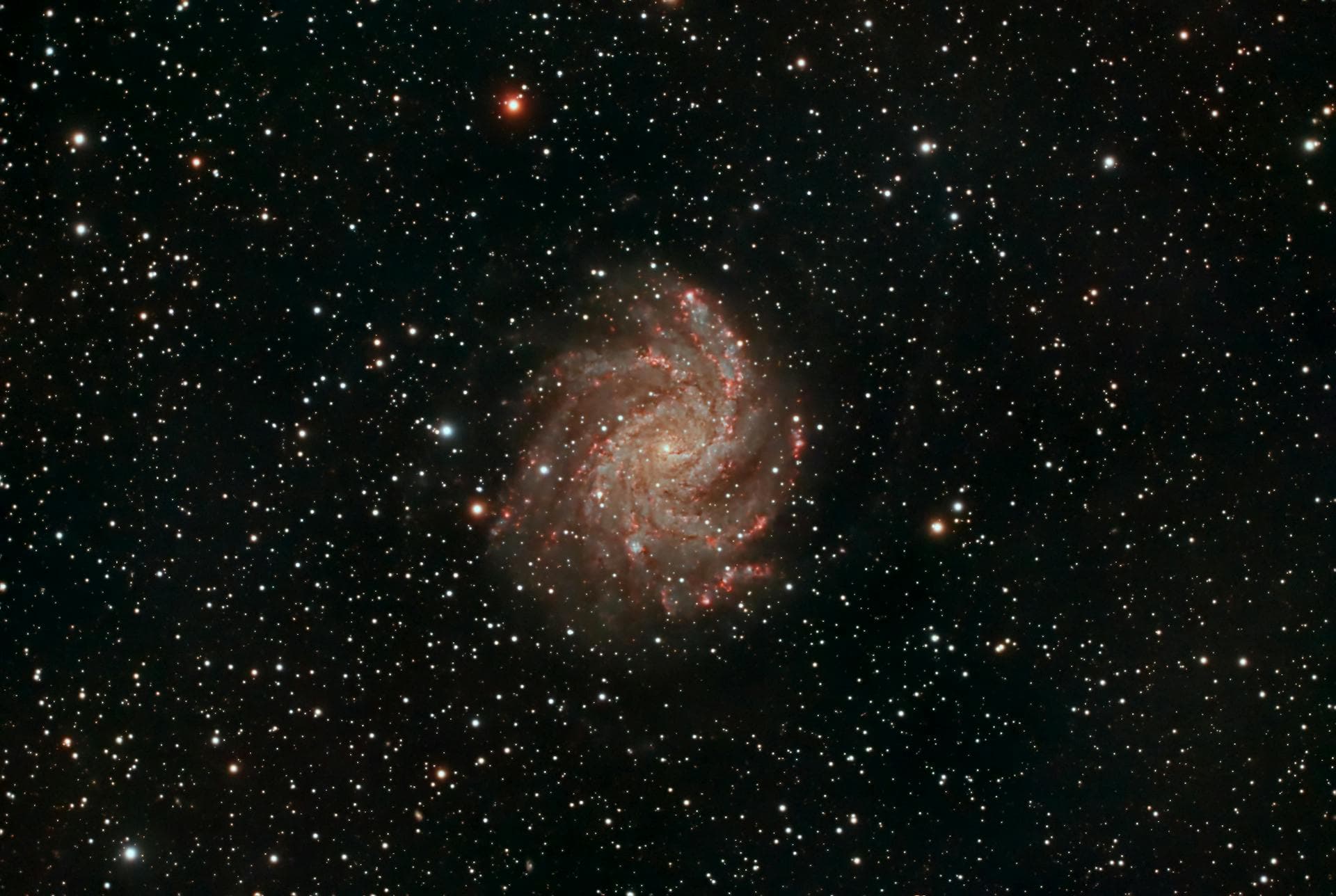 Humans as the Cosmic Database